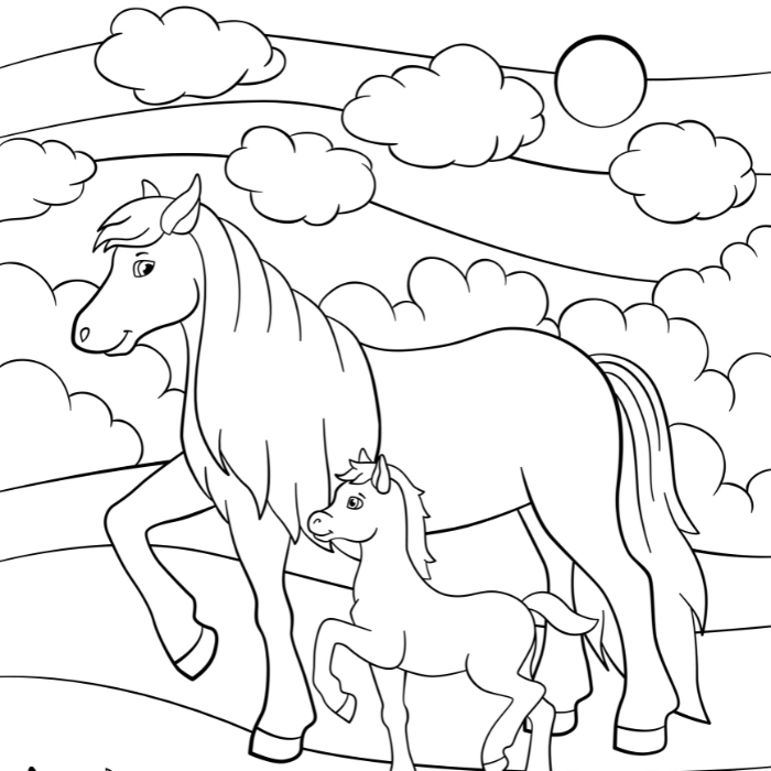 Best Horse Coloring Pages for Kids & Adults | Free Printable